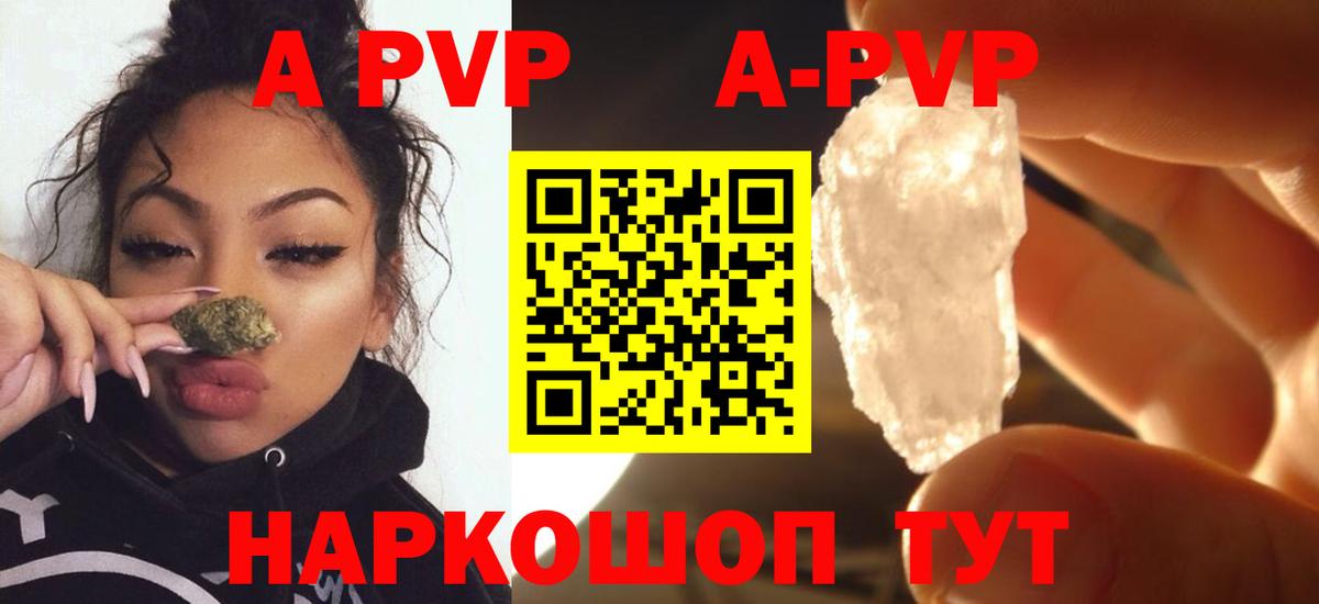 A PVP СК Новоалтайск