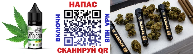 Cannafood конопля  Новоалтайск 