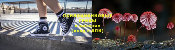 прущий лед Алзамай