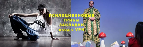 прущий лед Алзамай