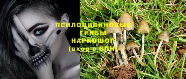 соль ск Алексеевка