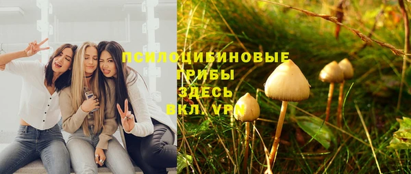 соль ск Алексеевка