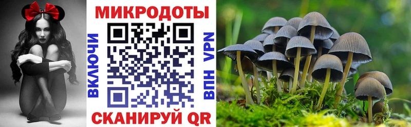 закладки  darknet какой сайт  Галлюциногенные грибы GOLDEN TEACHER  Новоалтайск 