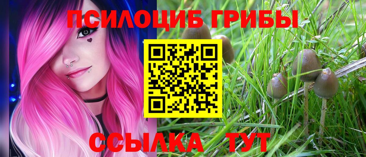 Героин Новоалтайск