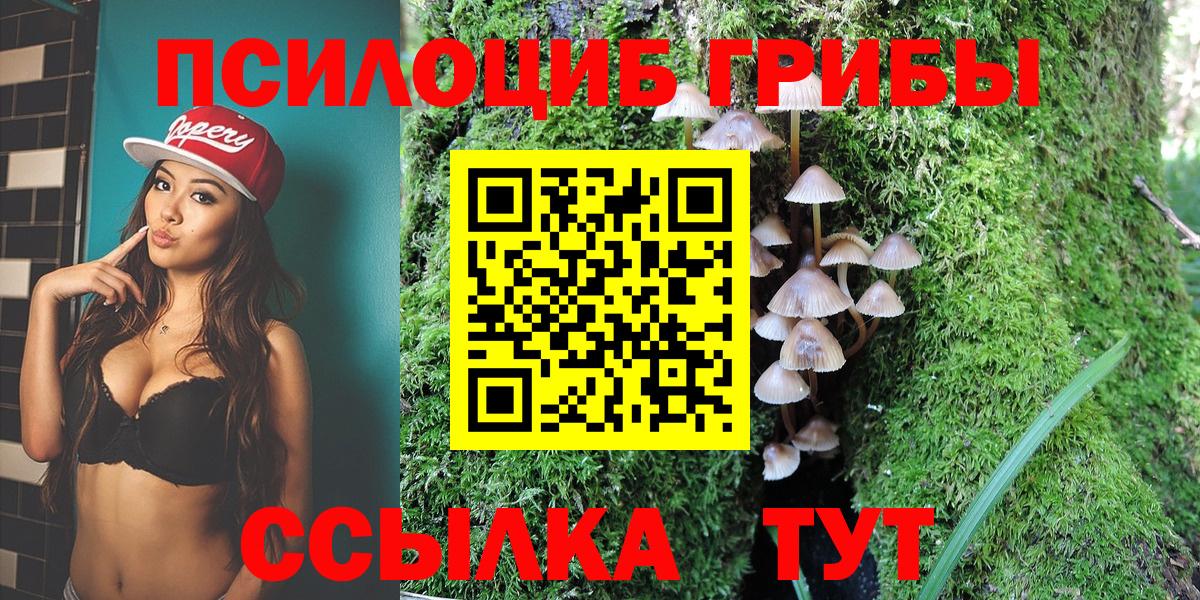 Галлюциногенные грибы MAGIC MUSHROOMS Новоалтайск