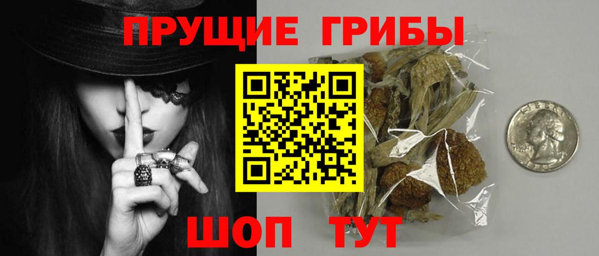 Галлюциногенные грибы ЛСД  Галлюциногенные грибы GOLDEN TEACHER  Вход с VPN  Новоалтайск 